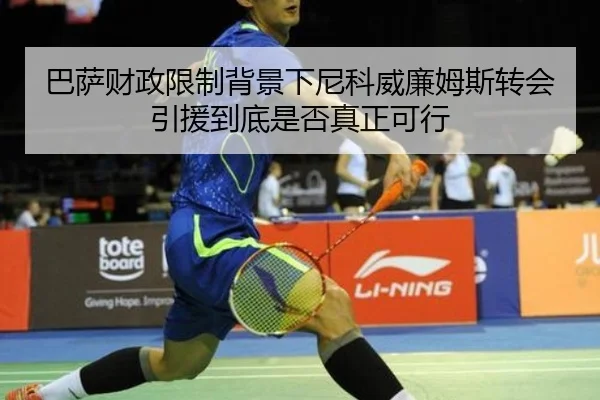 ba-sa-cai-zheng-xian-zhi-bei-jing-xia-ni-ke-wei-lian-mu-si-zhuan-hui-yin-yuan-dao-di-shi-fou-zhen-zheng-ke-xing-2-174.jpg